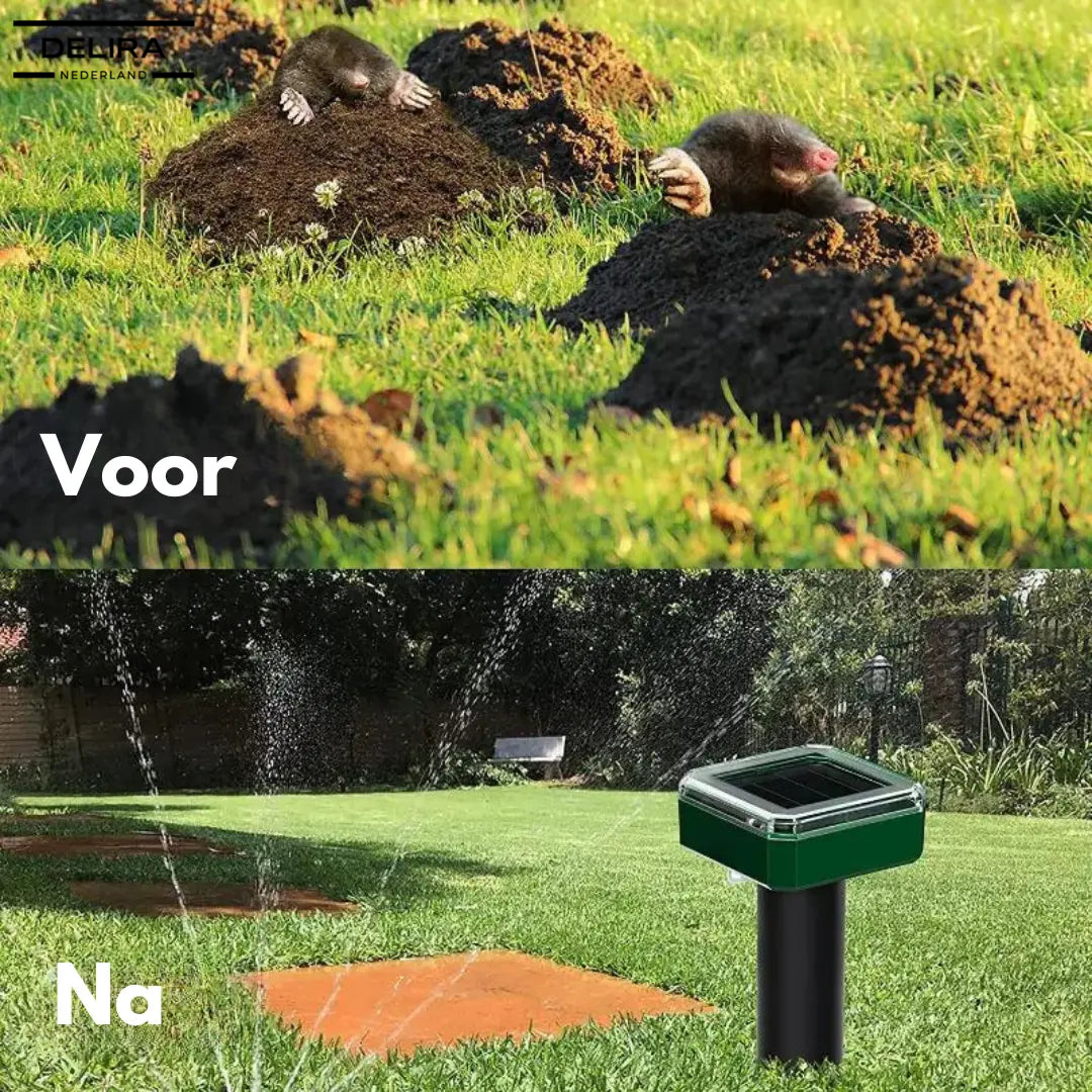 MoleAway™ – Verjaag mollen voorgoed, zonder gif of gedoe