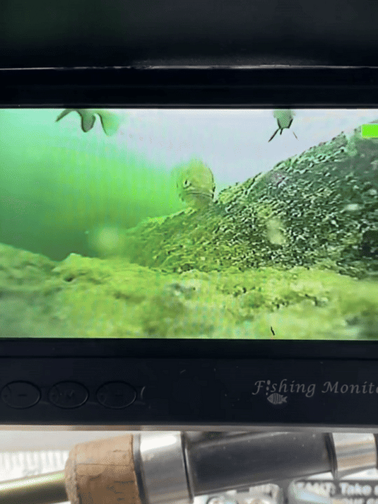 DeepScout™ – Zie eindelijk wat er écht onder water gebeurt