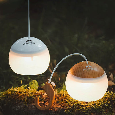 Delira Hanglamp Outdoor USB Designlicht