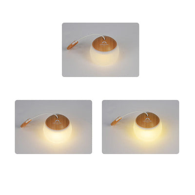 Delira Hanglamp Outdoor USB Designlicht