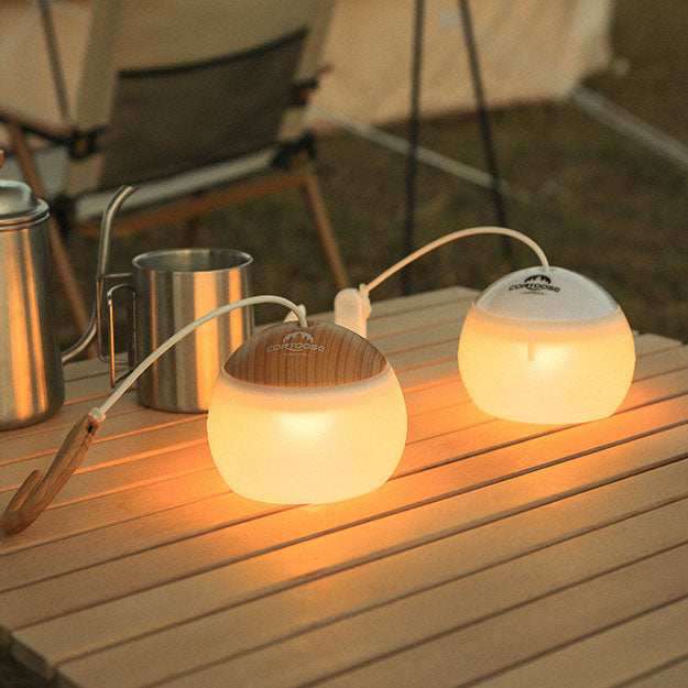 Delira Hanglamp Outdoor USB Designlicht
