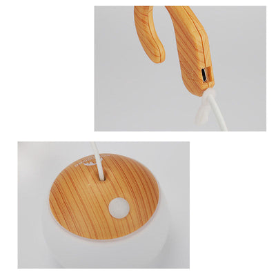 Delira Hanglamp Outdoor USB Designlicht