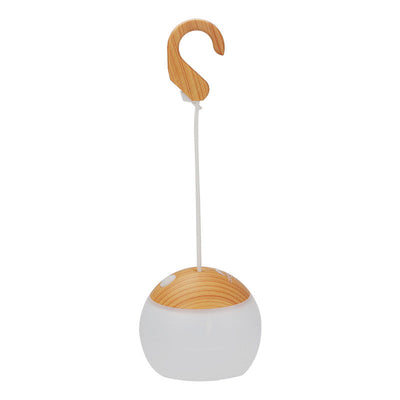 Delira Hanglamp Outdoor USB Designlicht