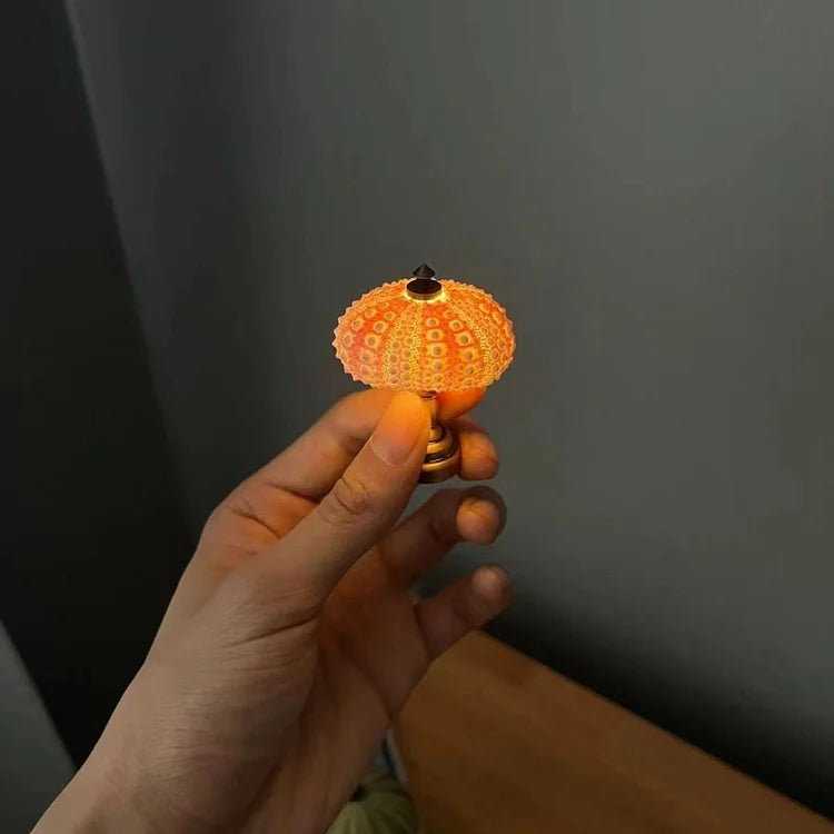 Delira DIY Nachtlampje Zee-egel