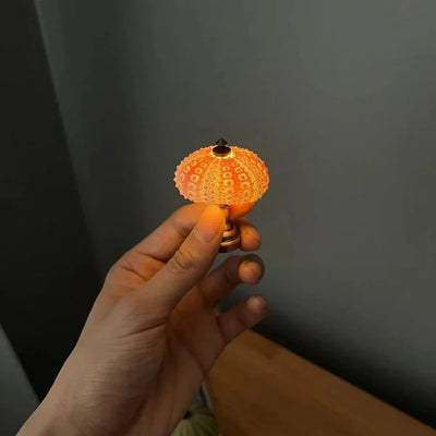Delira DIY Nachtlampje Zee-egel