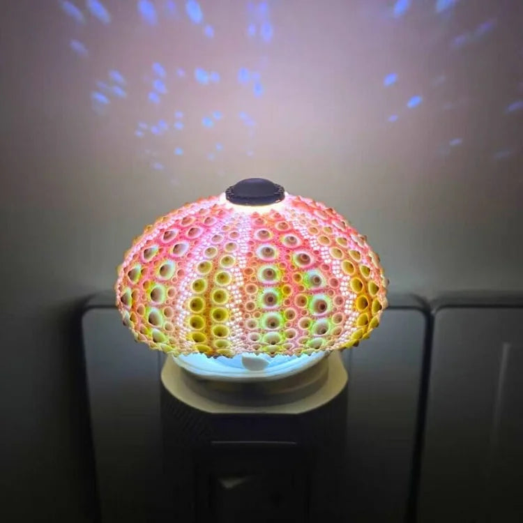 Delira DIY Nachtlampje Zee-egel
