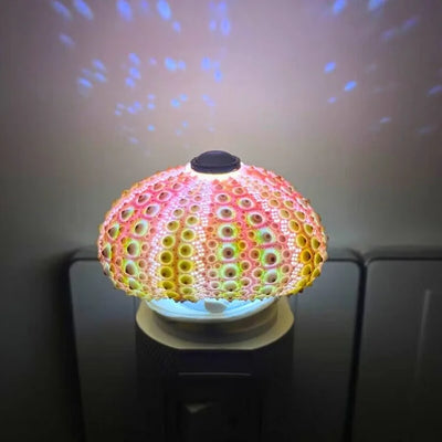 Delira DIY Nachtlampje Zee-egel