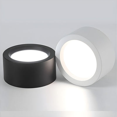 Delira Plafondlamp Nordic Opbouw Rond