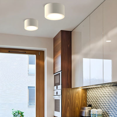 Delira Plafondlamp Nordic Opbouw Rond