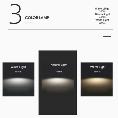 Delira Plafondlamp LED Rond Maanvormig