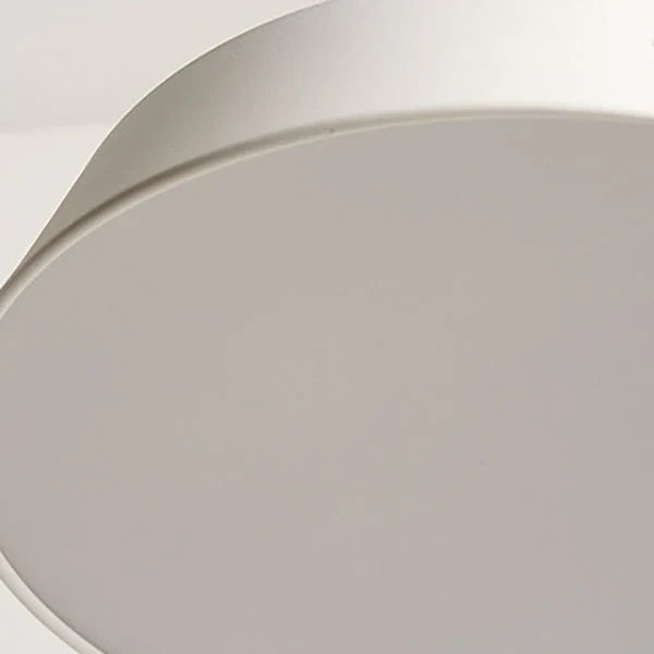 Delira Plafondlamp Harmonieuze Vorm