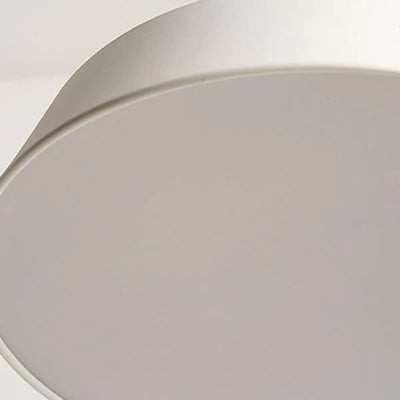 Delira Plafondlamp Harmonieuze Vorm