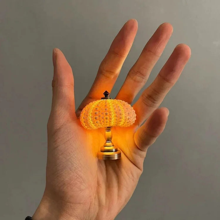 Delira DIY Nachtlampje Zee-egel
