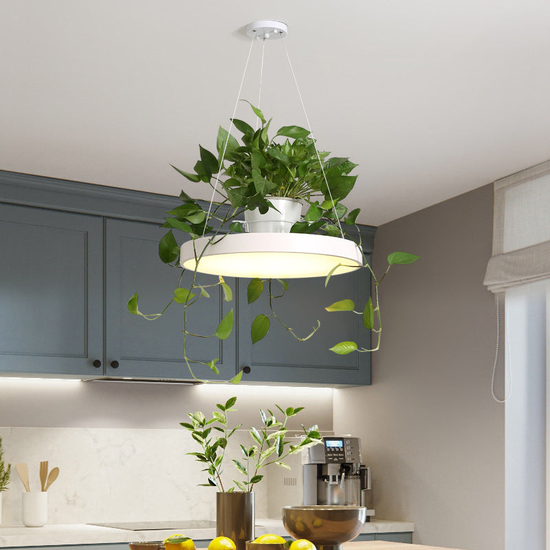 Delira Hanglamp Rond Met Plantenhouder