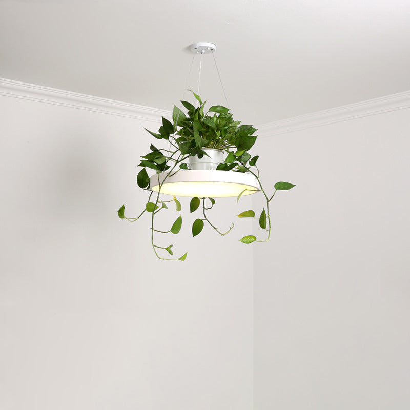 Delira Hanglamp Rond Met Plantenhouder