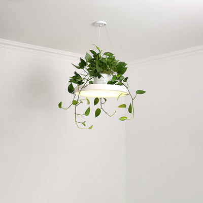 Delira Hanglamp Rond Met Plantenhouder