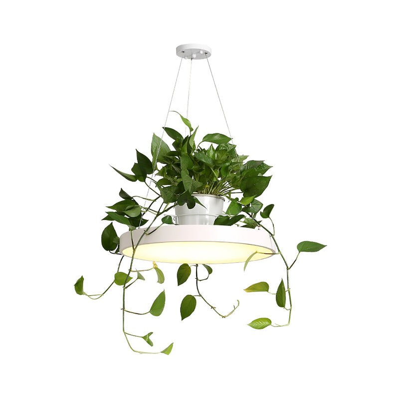 Delira Hanglamp Rond Met Plantenhouder