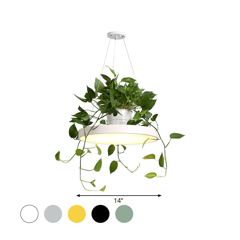 Delira Hanglamp Rond Met Plantenhouder