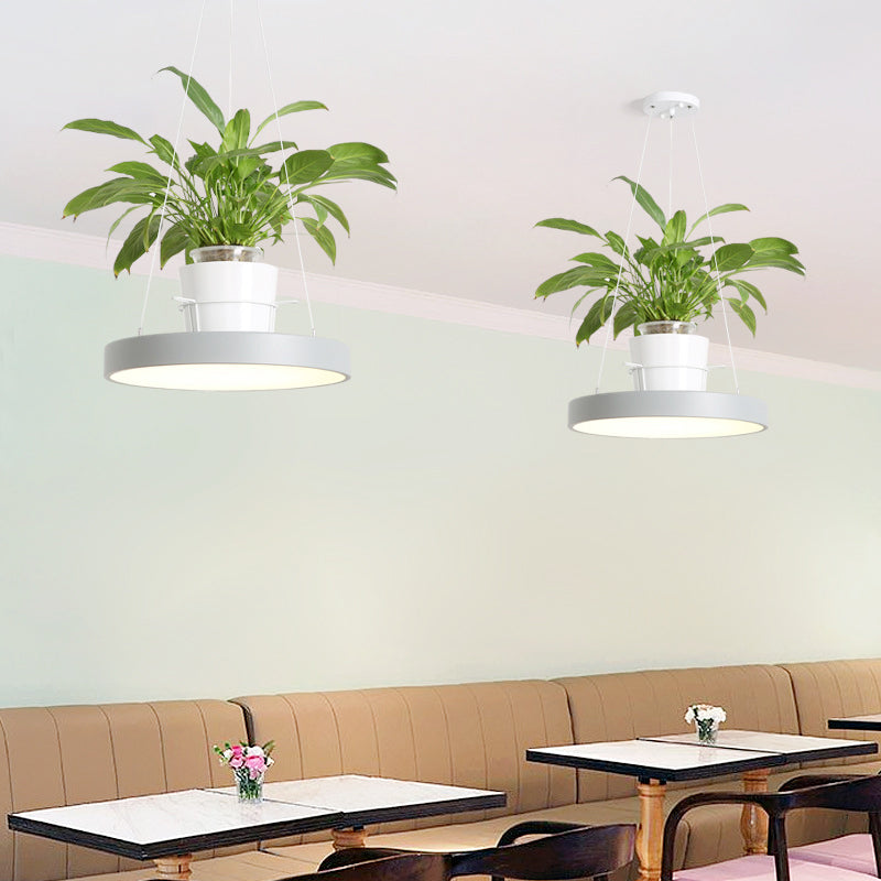 Delira Hanglamp Rond Met Plantenhouder