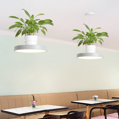 Delira Hanglamp Rond Met Plantenhouder