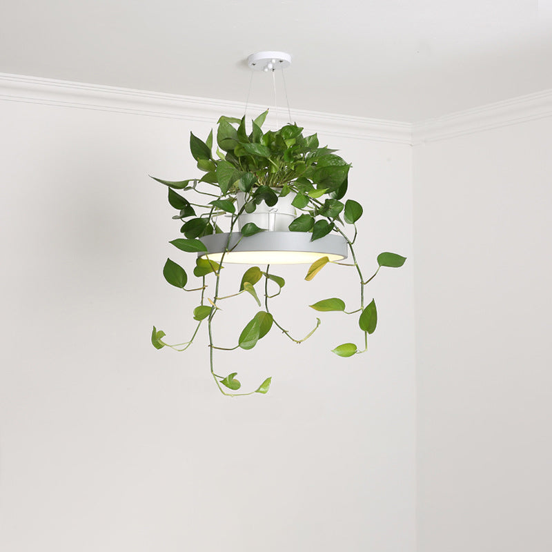 Delira Hanglamp Rond Met Plantenhouder