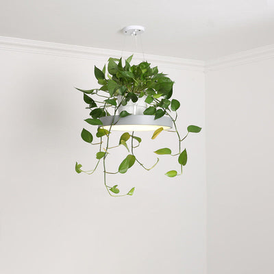 Delira Hanglamp Rond Met Plantenhouder