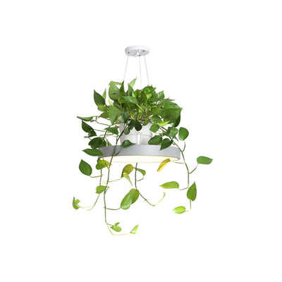 Delira Hanglamp Rond Met Plantenhouder
