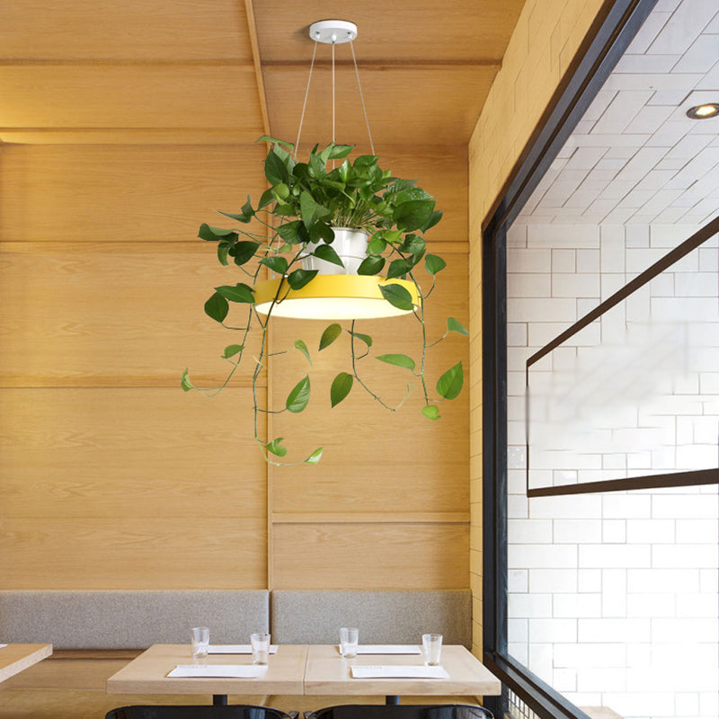 Delira Hanglamp Rond Met Plantenhouder