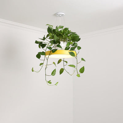 Delira Hanglamp Rond Met Plantenhouder