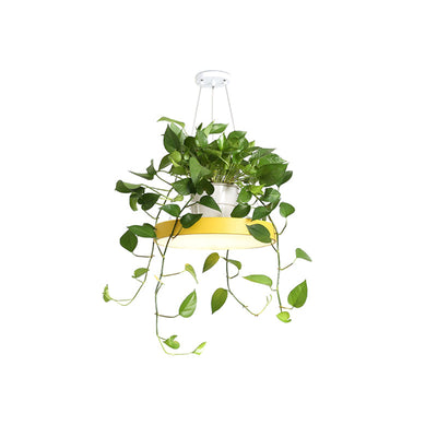 Delira Hanglamp Rond Met Plantenhouder