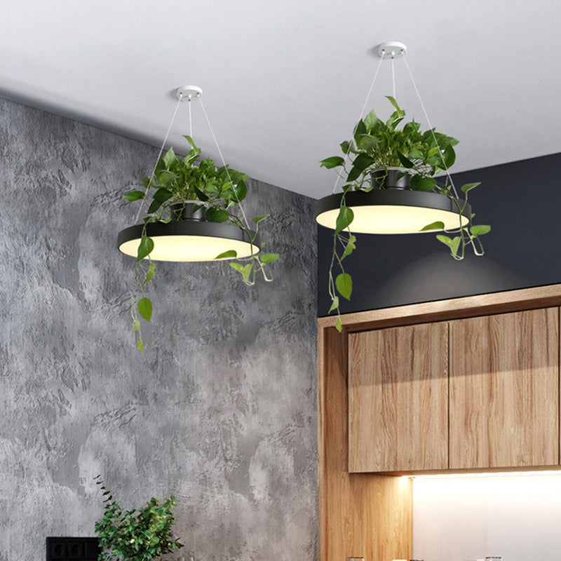 Delira Hanglamp Rond Met Plantenhouder