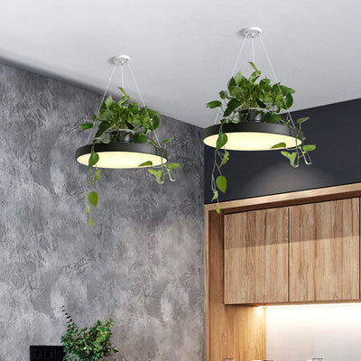 Delira Hanglamp Rond Met Plantenhouder
