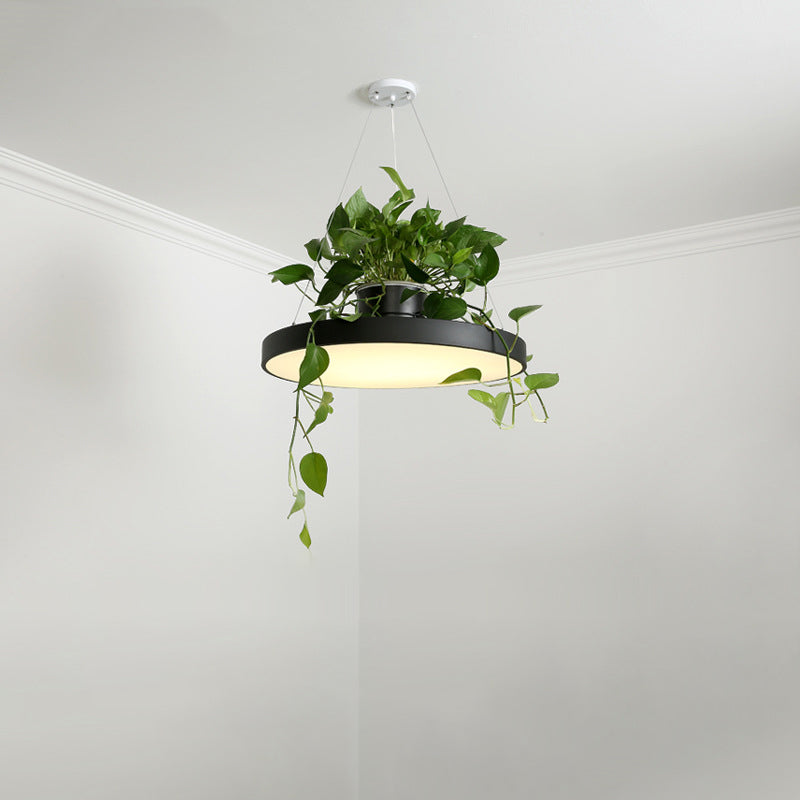 Delira Hanglamp Rond Met Plantenhouder