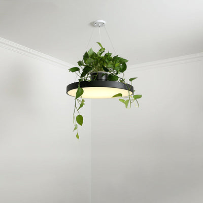 Delira Hanglamp Rond Met Plantenhouder