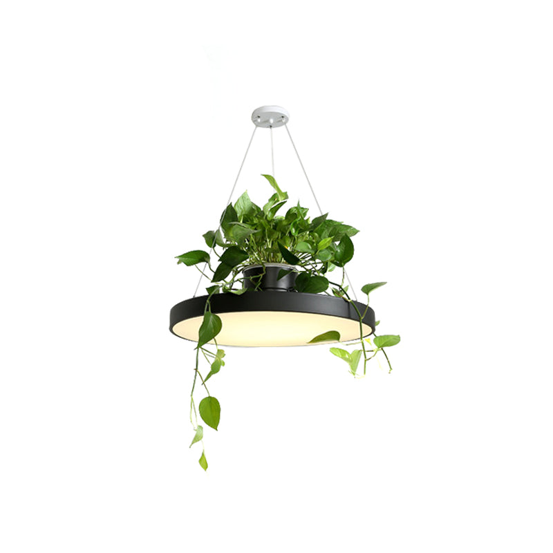Delira Hanglamp Rond Met Plantenhouder