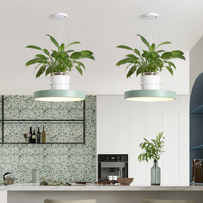 Delira Hanglamp Rond Met Plantenhouder