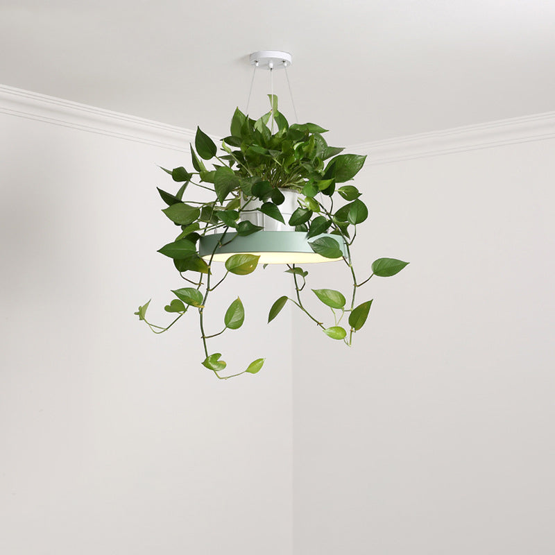 Delira Hanglamp Rond Met Plantenhouder