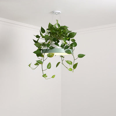 Delira Hanglamp Rond Met Plantenhouder