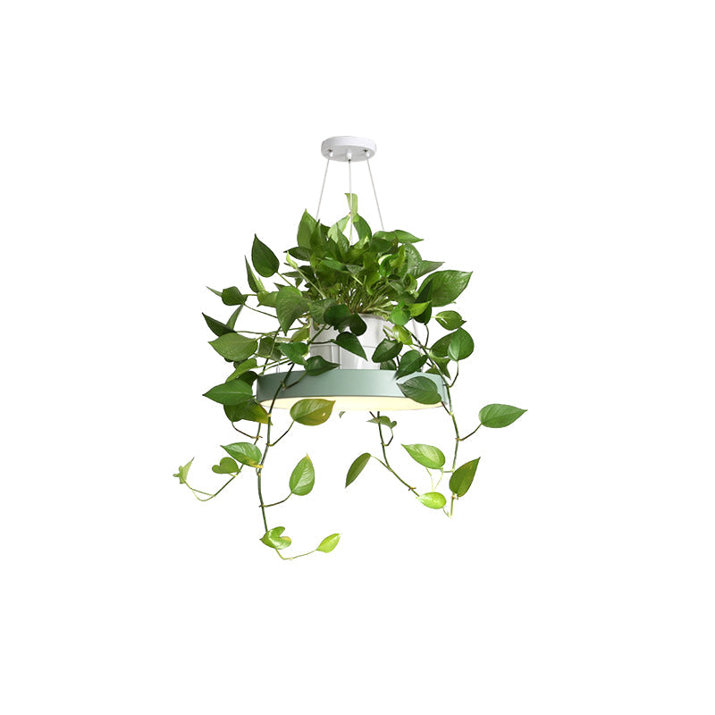 Delira Hanglamp Rond Met Plantenhouder
