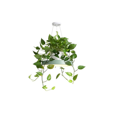 Delira Hanglamp Rond Met Plantenhouder