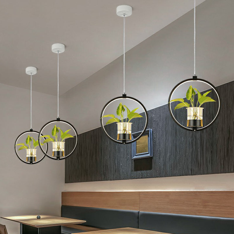 Delira Hanglamp Acryl Met Plantdetail