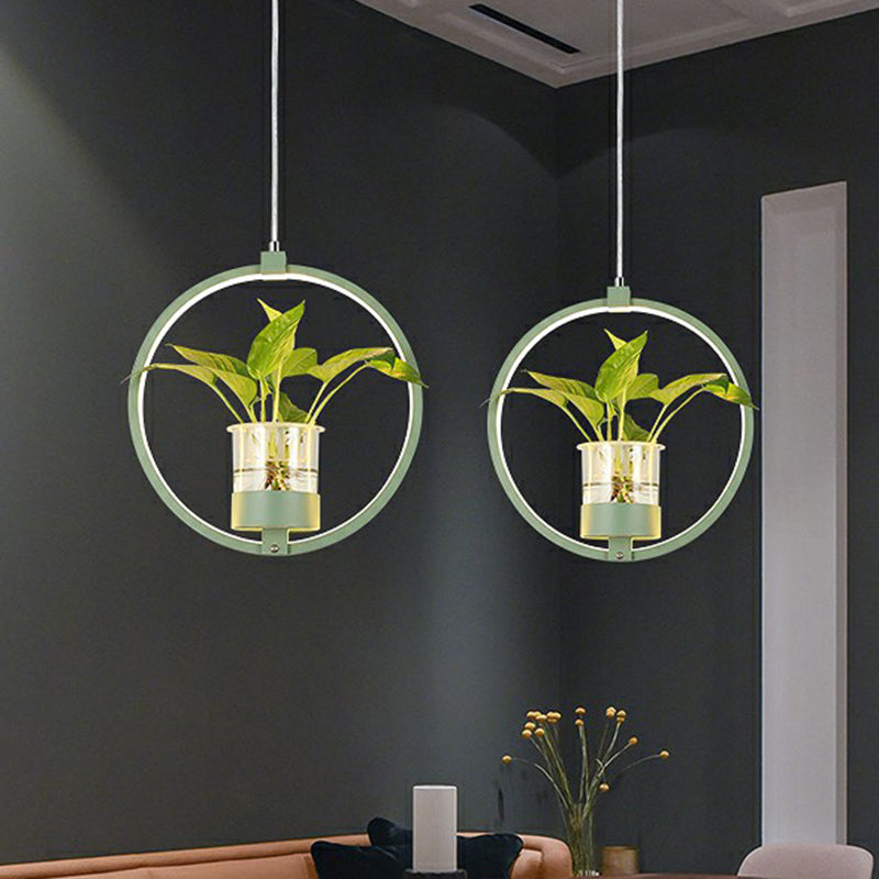 Delira Hanglamp Acryl Met Plantdetail