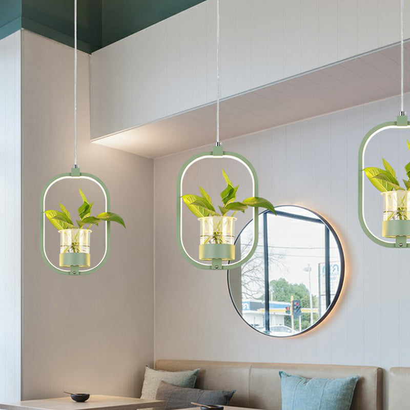 Delira Hanglamp Acryl Met Plantdetail