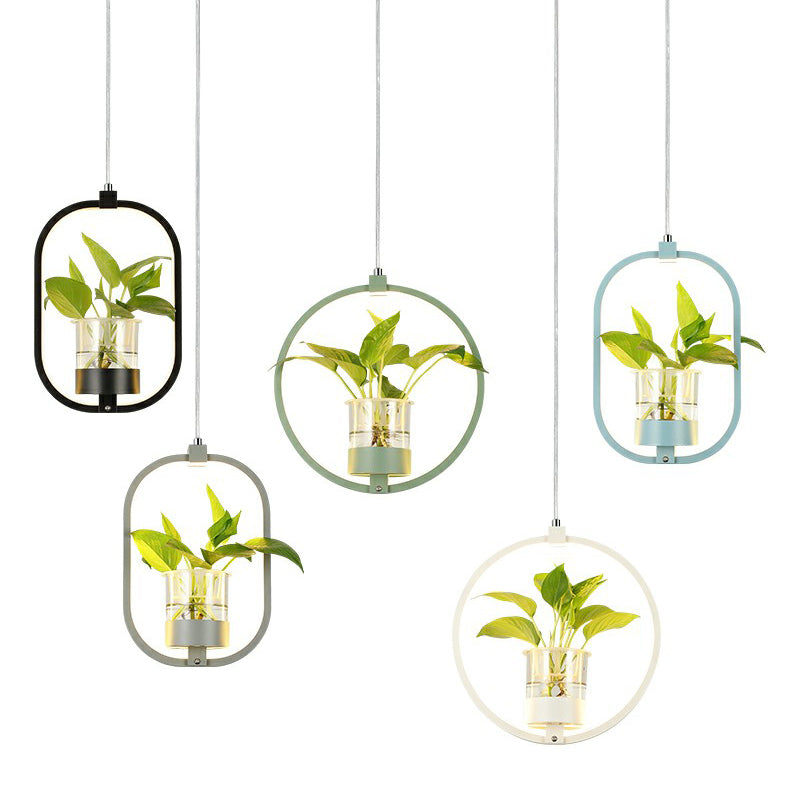 Delira Hanglamp Acryl Met Plantdetail