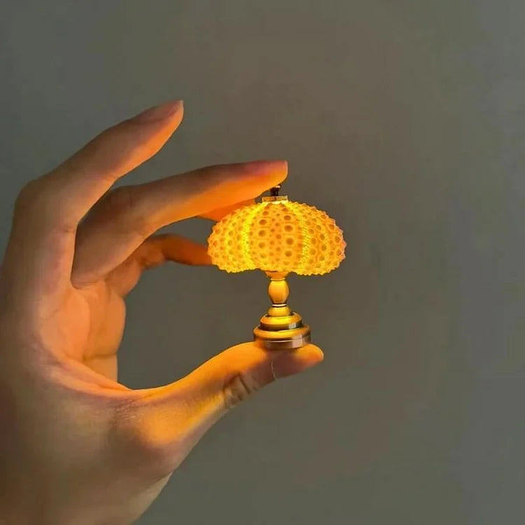 Delira DIY Nachtlampje Zee-egel