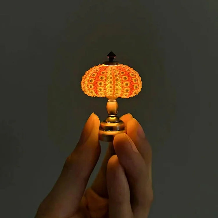 Delira DIY Nachtlampje Zee-egel