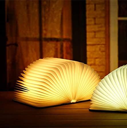 Delira Tafellamp Open Boek Design