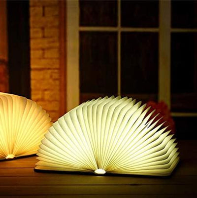 Delira Tafellamp Open Boek Design