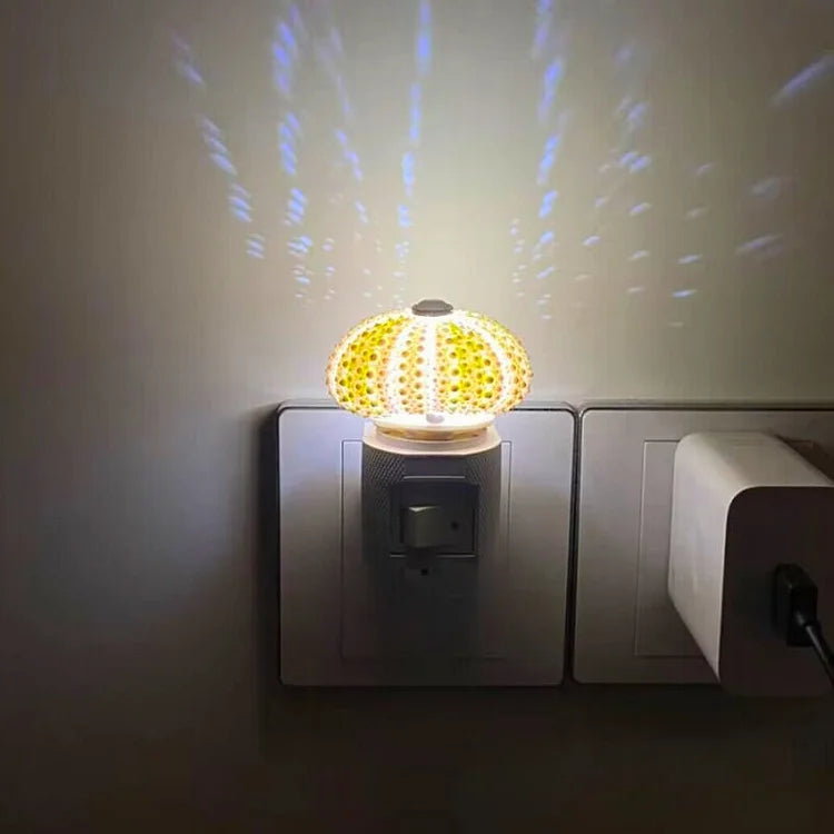 Delira DIY Nachtlampje Zee-egel
