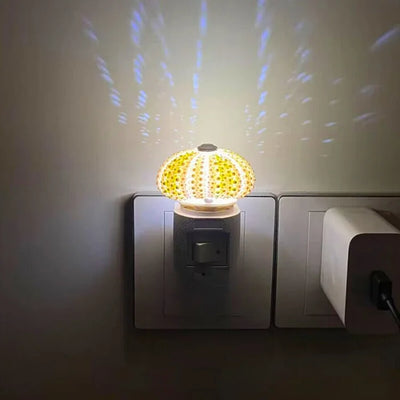 Delira DIY Nachtlampje Zee-egel